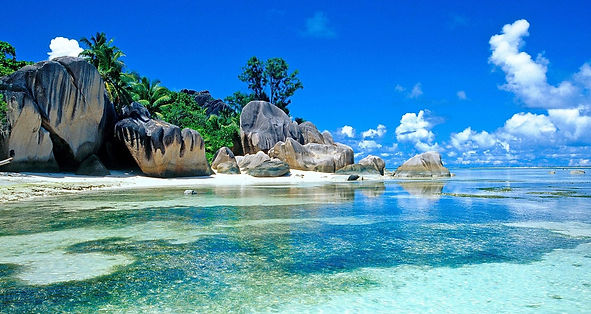 image-asset (22).jpeg