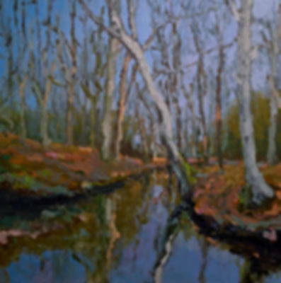 schilderij Erik-Jan Vaandering