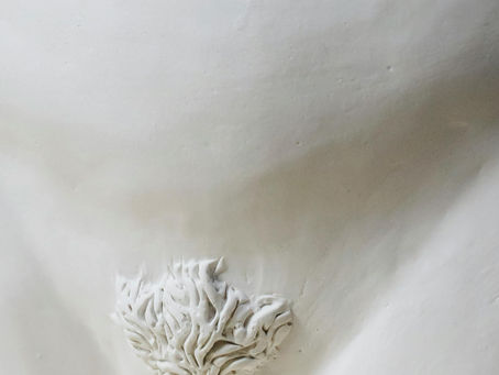 Sexual Education : The Anatomy