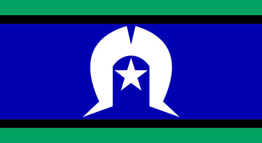 TSI Flag.jpg