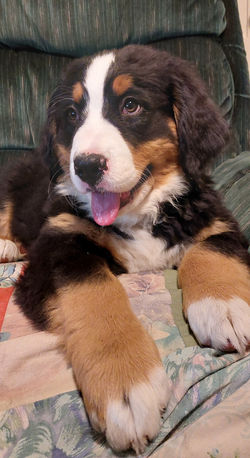 20211112_180345[1]_edited