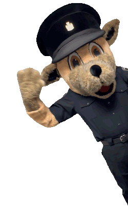 Cuffs-250x416-1.gif