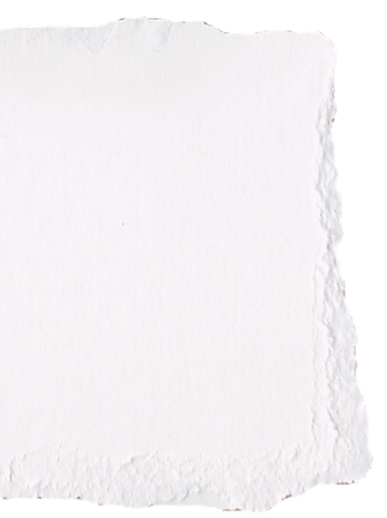 torn paper _edited_edited.png
