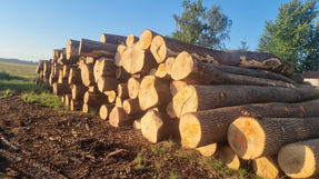 WhatsApp Image 2022-08-02 at 07.44.11 (3).jpeg