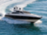 sunseeker predator