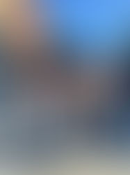 Madison Street Fest was a success. What We Learned and How to Make Your Next Event a Hit