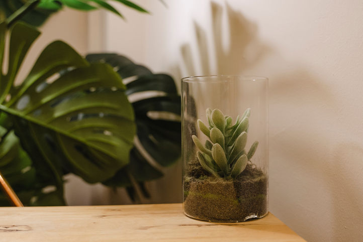 20230316_THN6524_Web Res.jpg