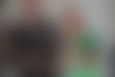 Mr Green at the VDL Awards 2015