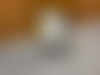 お仕事体験の講師