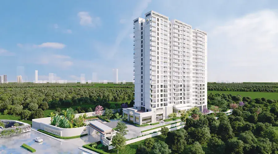ca4e12d9-c162-4b4c-a3d9-df7c31b26a57.webp
