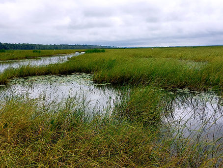 28 Tribes File Amicus Brief to Support Bad River in Ejecting Enbridge from Reservation