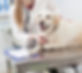 1064534_m_edited.jpg