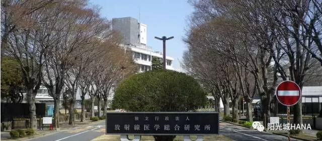 🇯🇵 日本放射线医学综合研究所