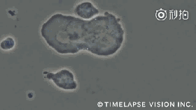 191223981.gif