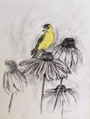 Goldfinch in charcoal