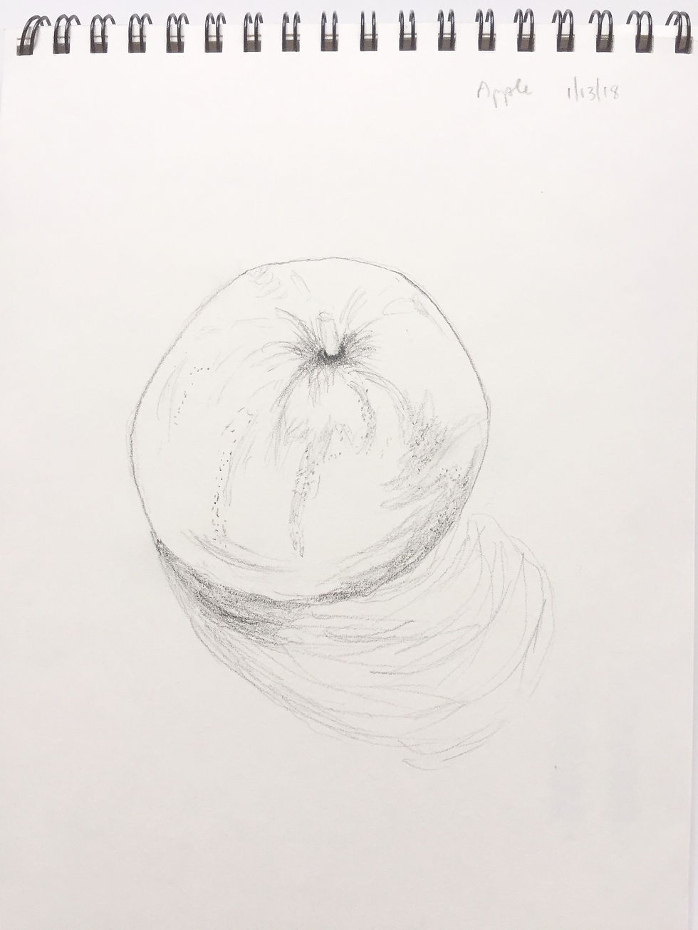 Apple sketch