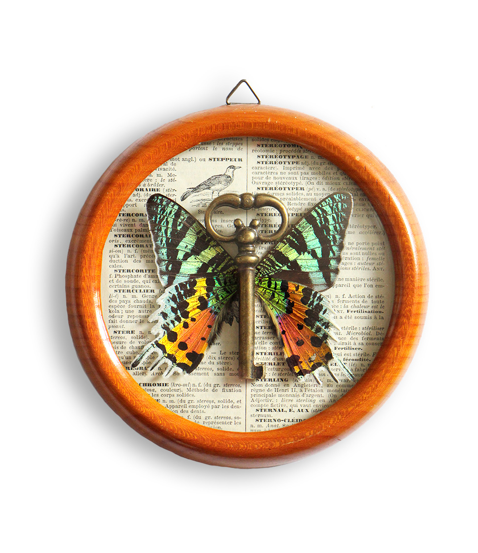 Ailes d'urania et sa clef