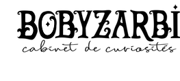 LOGO BOBYZARBI.png