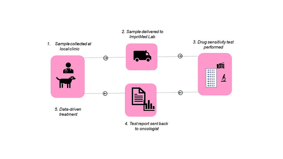 Flowchart of how the sample is transported, tested, and returned.