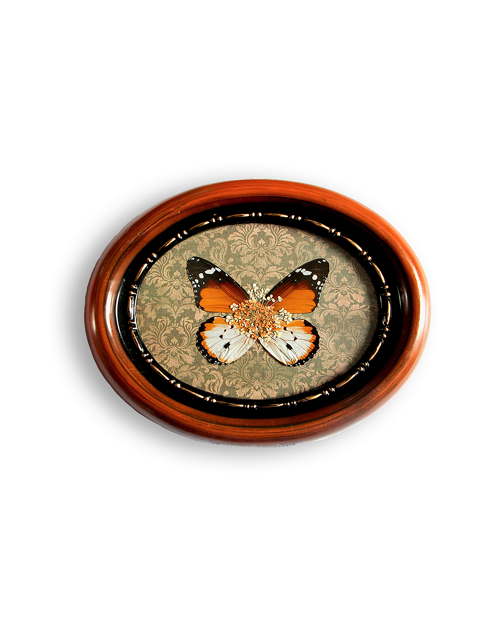 Cadre Ailes ๐๐๐๐๐๐ ๐๐๐๐ข๐๐๐๐๐๐