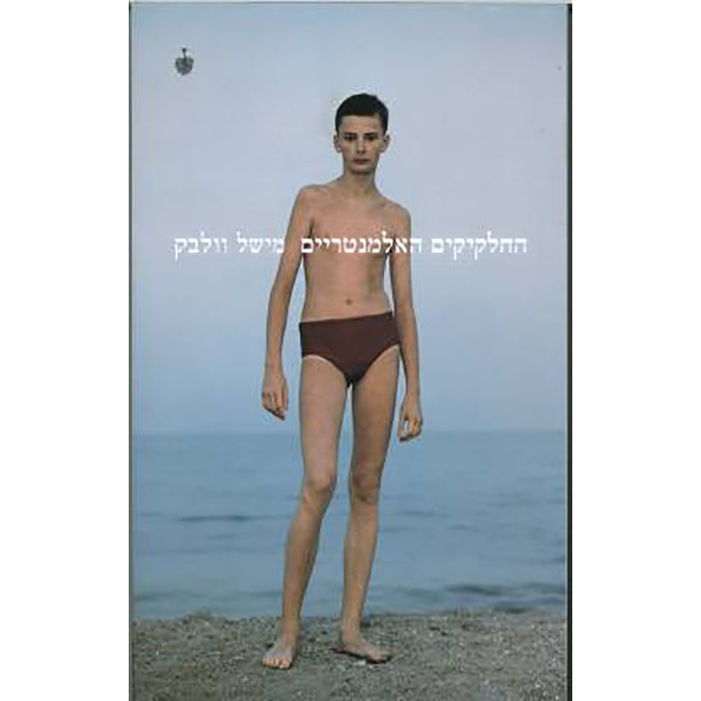 החלקיקים האלמנטריים - מישל וולבק
