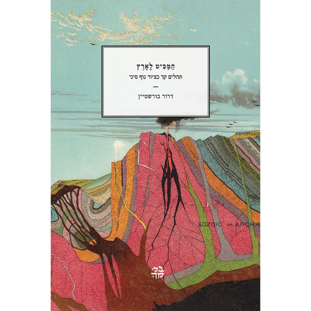 המביט לארץ - דרור בורשטיין