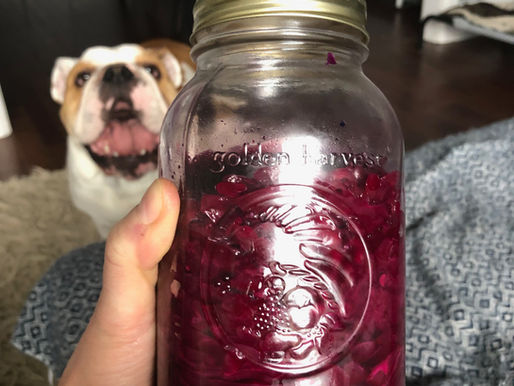 Homemade Sauerkraut