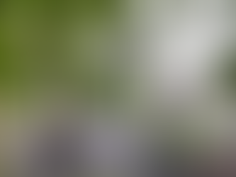 Local loudspeakers… where have they gone? 