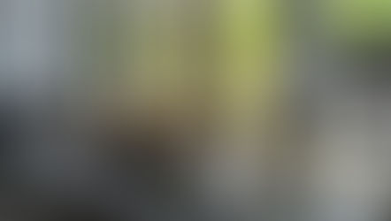 Ripple Effect: Exhibition to Highlight Damaging Impact of Asian Development Bank (ADB) Projects