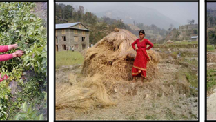 At the heart [h] of Melamchi