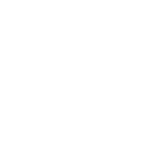 Technical skills.png