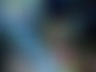 Expo Haas Concept Store