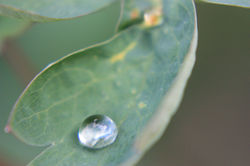 IMG_8662.JPG