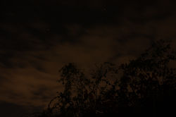 IMG_7465.JPG