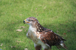 IMG_1620.JPG