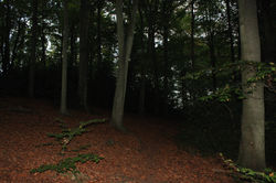 IMG_2375.JPG