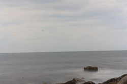 IMG_1791.JPG