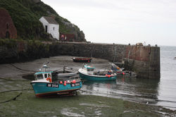 IMG_4619.JPG