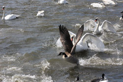 IMG_1563.JPG