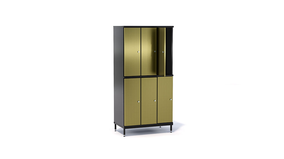 Thumbnail: Storage cabinet 2/6/300