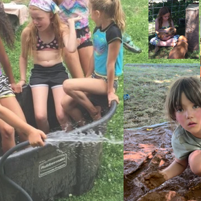 Cultivating the Whole Child