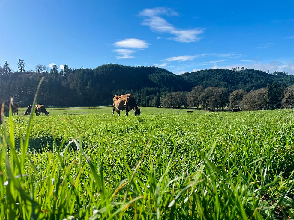 Healthy soil makes nutritious forage.