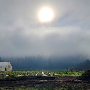 Winter Produce in Oregon