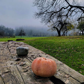 Local Food Means Seasonal Eating