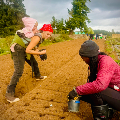 Mulched and tucked in