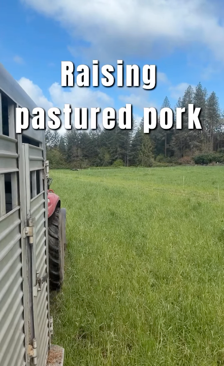 Click to view the video on Instagram.