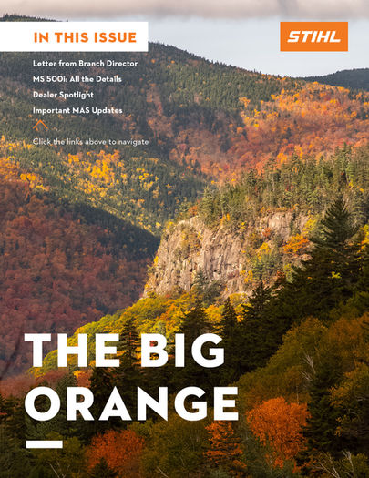 BIg Orange Example.jpg