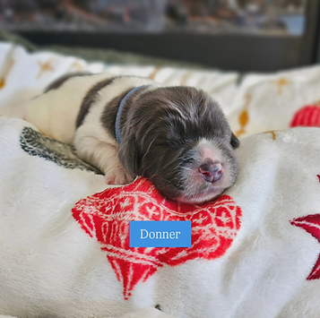 IMG_20251116_200607_523.heif