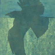 lintu8.jpg