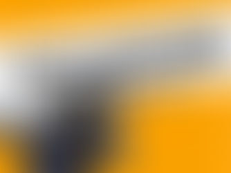 Aprende a cazar como un experto